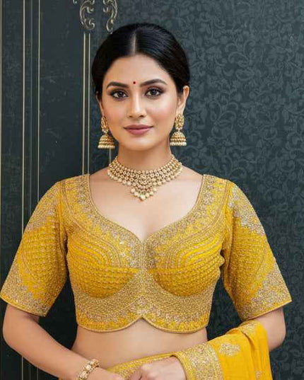 Heavy embroidery work blouse