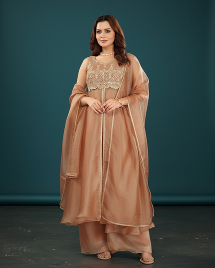 Tissue silk party wear dress