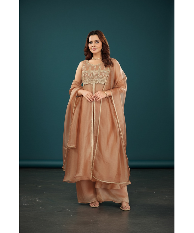 Tissue silk party wear dress