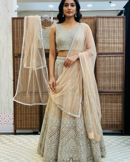 Heavy party wear lehenga Choli set