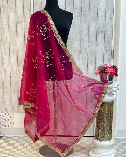 Tissue silk dupatta with sequin work by Kurti Connection USA