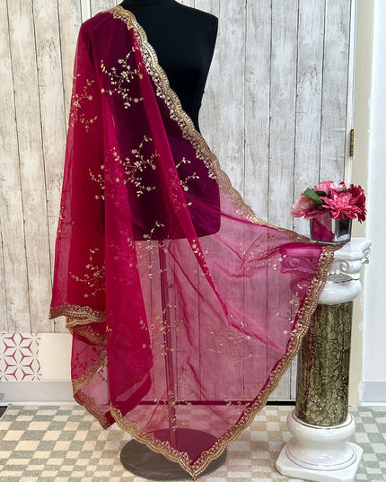 Tissue silk dupatta with sequin work by Kurti Connection USA