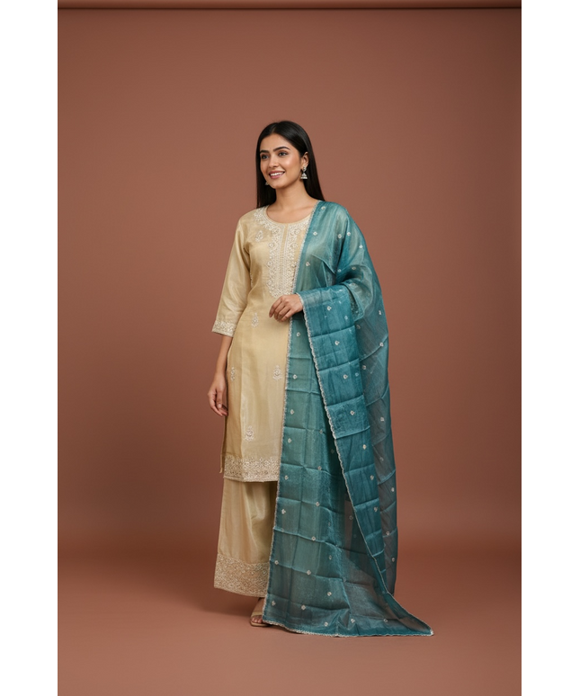Tissue party wear suit set