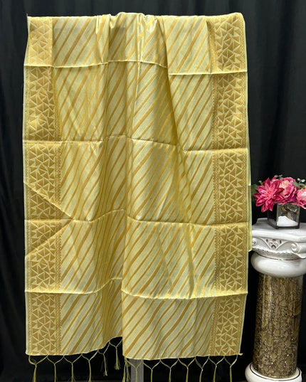 Light green dupatta by Kurti Connection USA