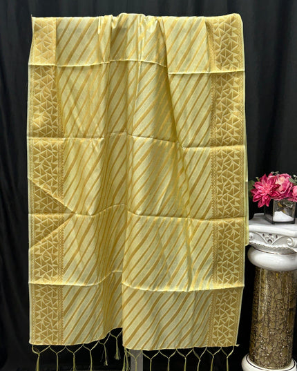Light green dupatta by Kurti Connection USA
