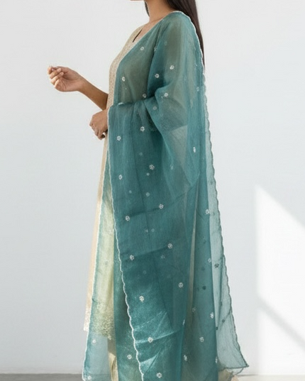 Tissue silk Kurti Plazzo set