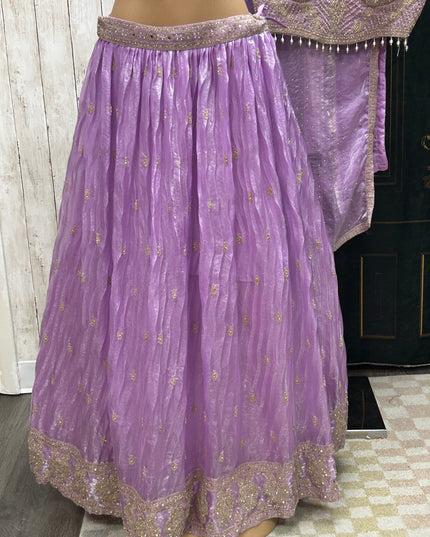 Lehenga Choli set