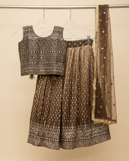 Lehenga Choli set for Girls
