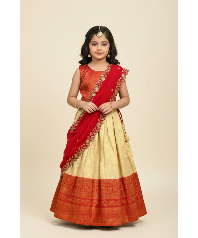 Lehenga Choli set for Girls