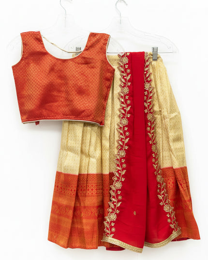 Lehenga Choli set for Girls