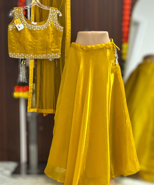 Tissue organza lehenga Choli - Kurti Connection USA