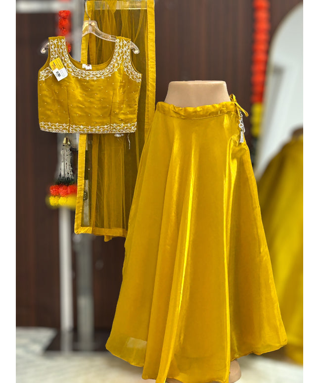 Tissue organza lehenga Choli - Kurti Connection USA