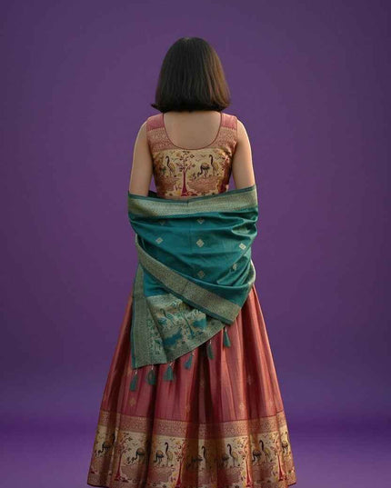 Traditional Indian Wedding Attire Lehanga Choli Set
