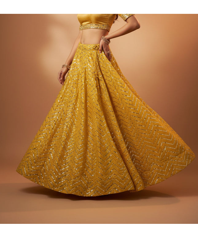 Sequin Lehenga - Kurti Connection USA